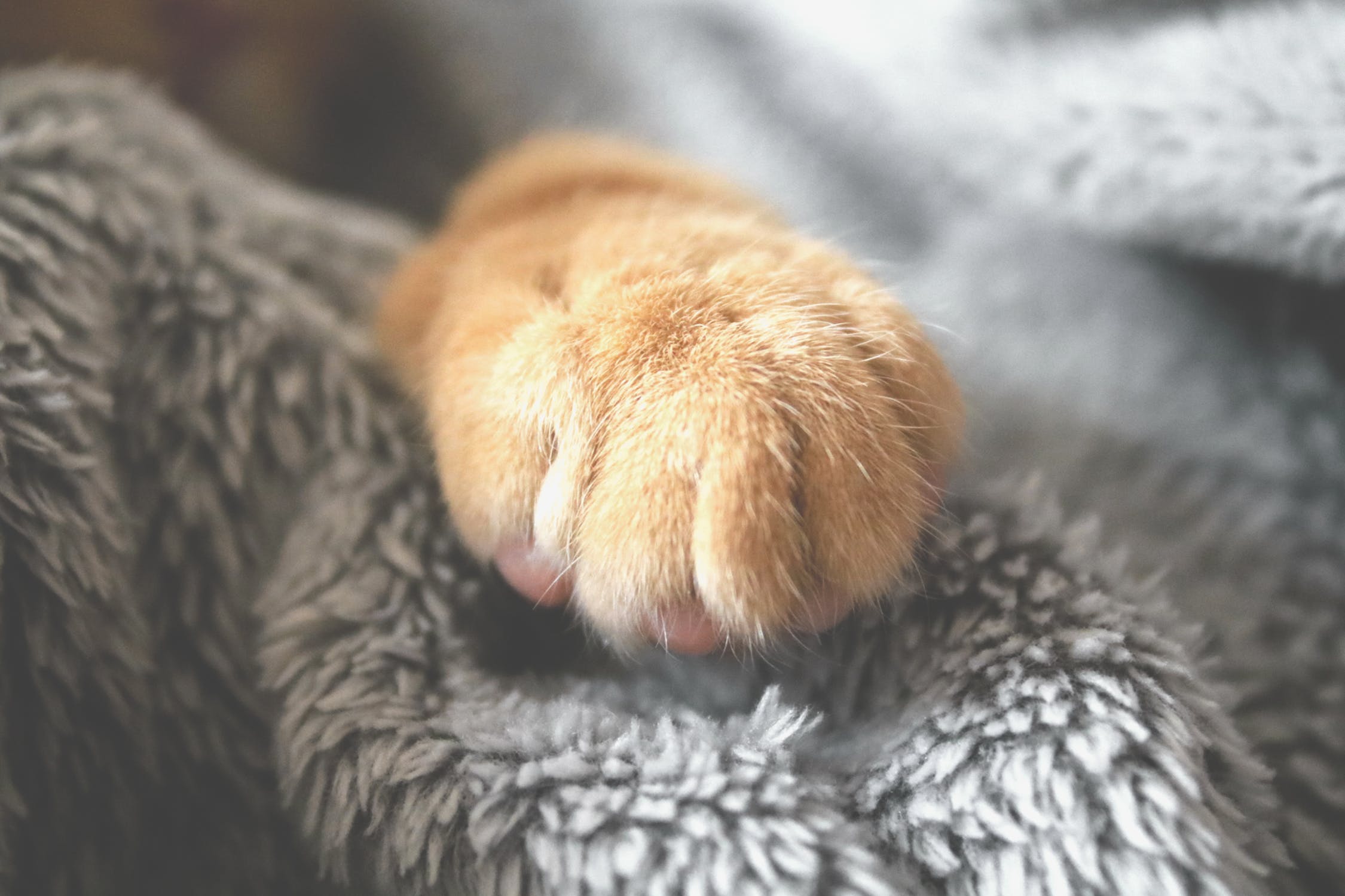 How polyster fleece is made?